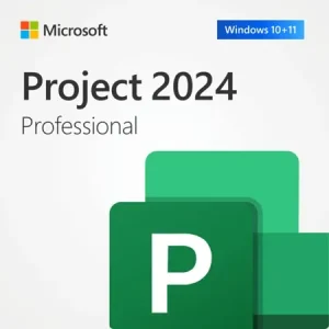 Project Professional 2024