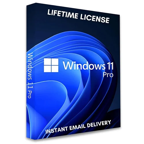 Windows 11 Pro license